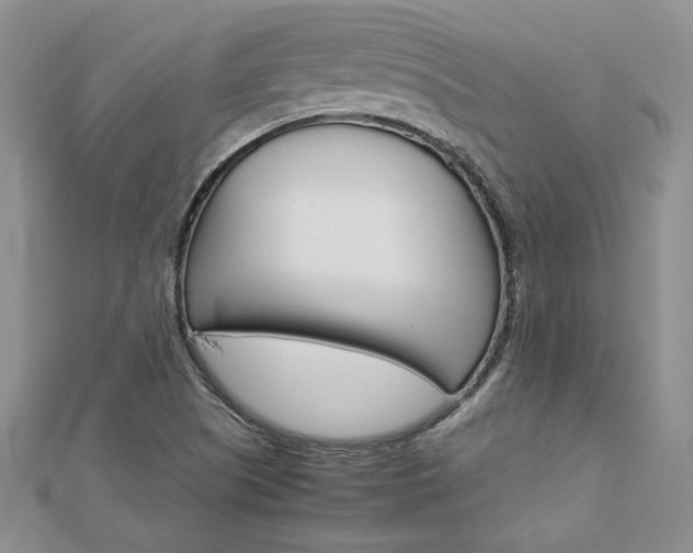 X0000113031505200908271044