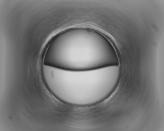 X0000113031506200908271044
