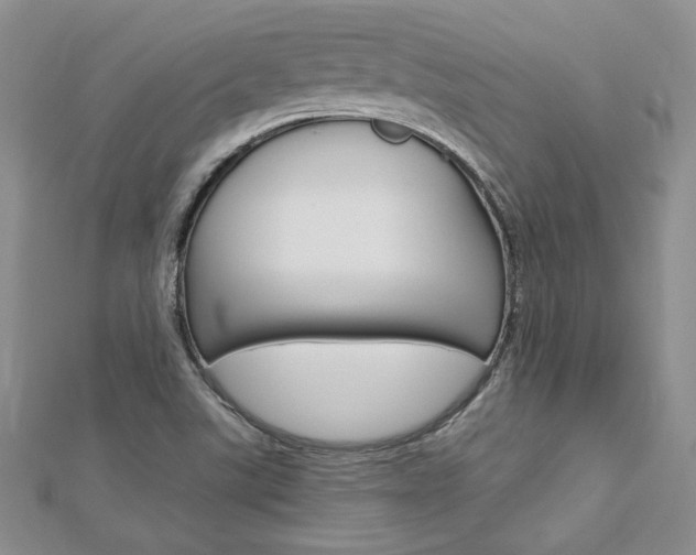 X0000113031507200908271044