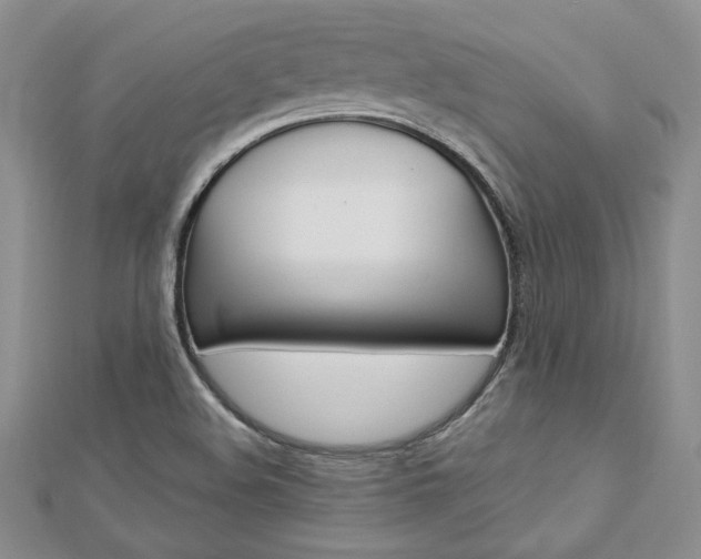 X0000113031508200908271044