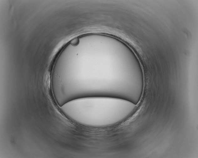 X0000113031509200908271044
