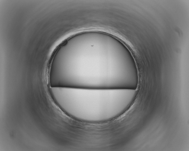 X0000113031510200908271044