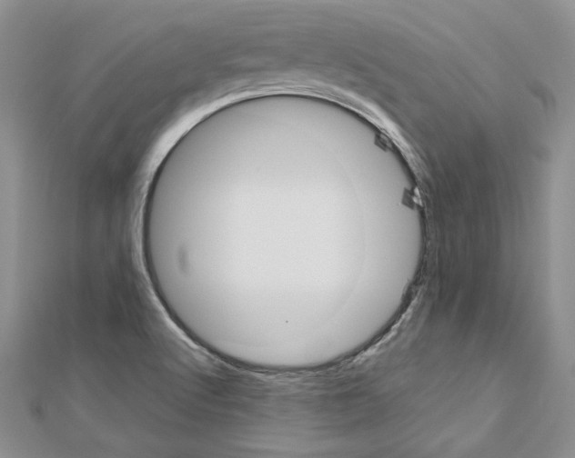 X0000113031512200908271044