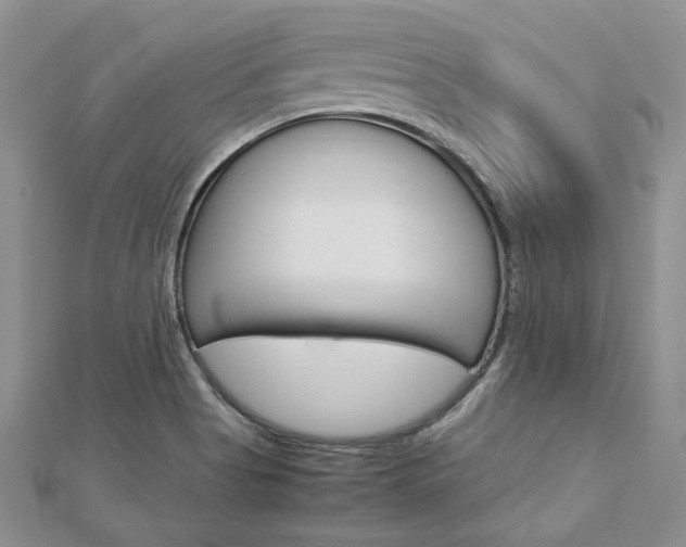X0000113031513200908271044
