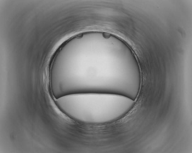 X0000113031515200908271044