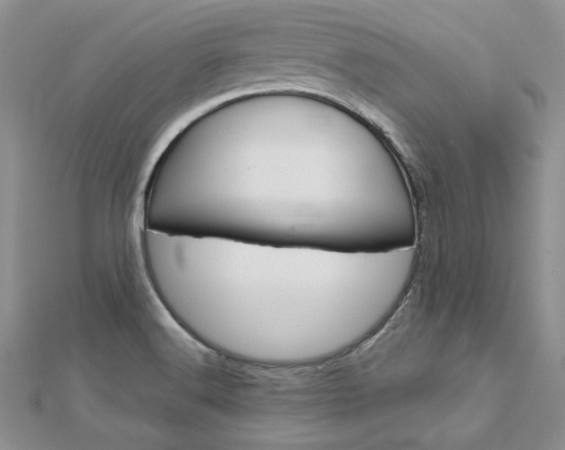 X0000113031516200908271044