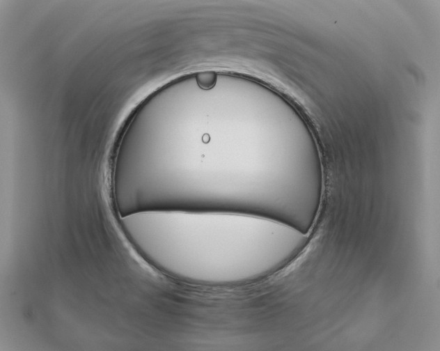 X0000113031517200908271044