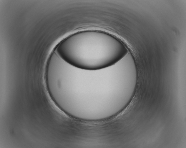 X0000113031518200908271044