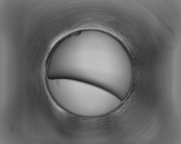 X0000113031519200908271044