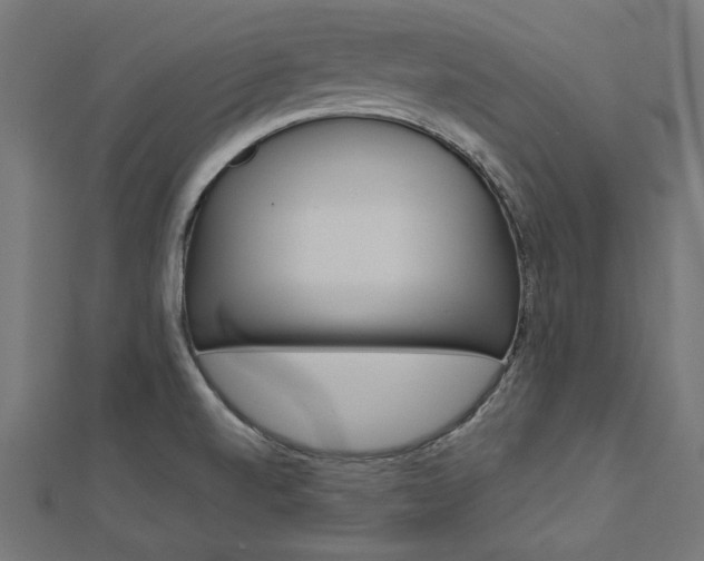 X0000113031520200908271044