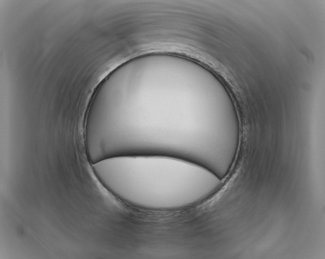 X0000113031521200908271044