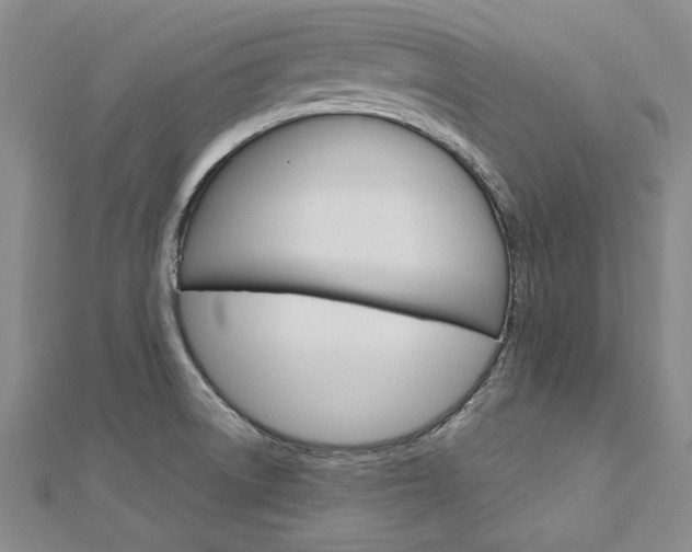 X0000113031522200908271044