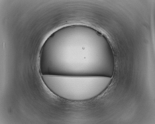 X0000113031524200908271044