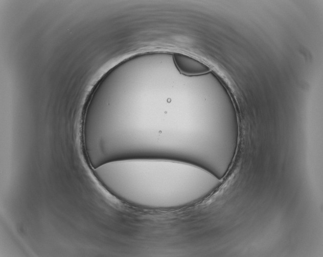 X0000113031525200908271044