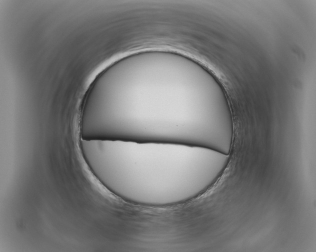 X0000113031526200908271044
