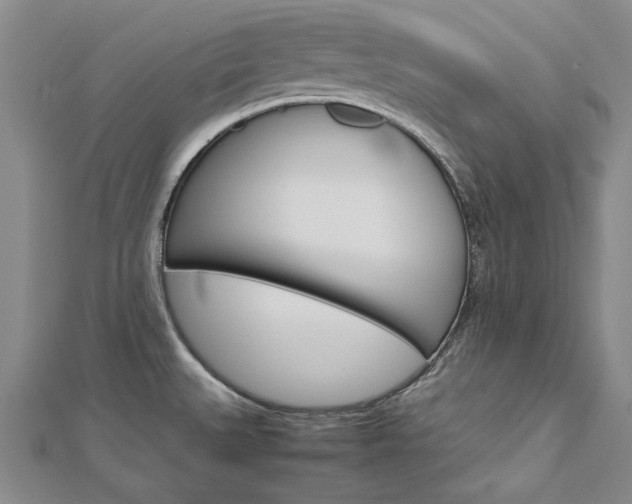 X0000113031527200908271044