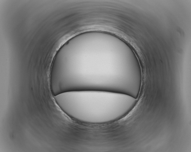 X0000113031529200908271044