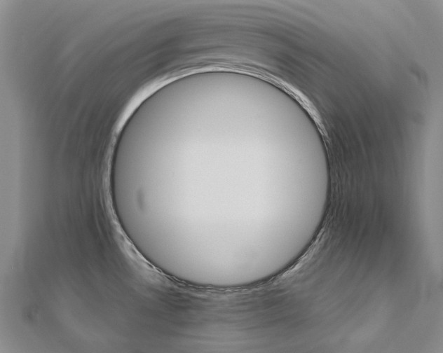X0000113031530200908271044