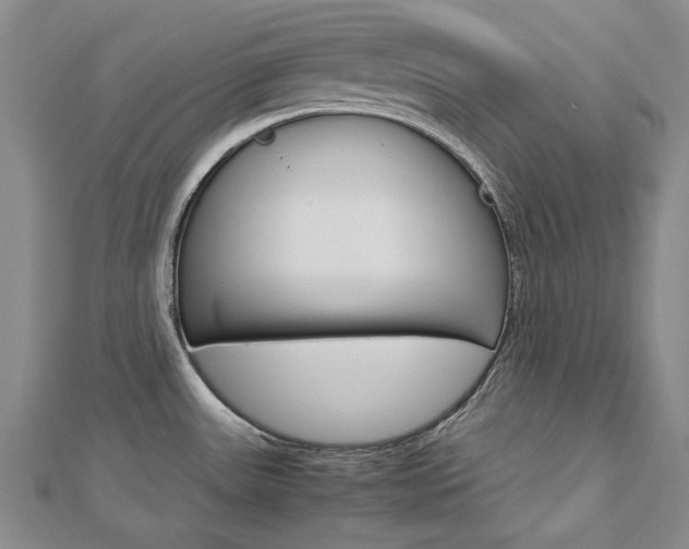 X0000113031531200908271044