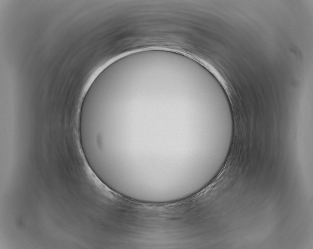 X0000113031532200908271044