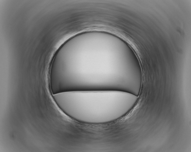 X0000113031533200908271044