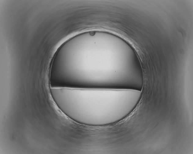 X0000113031534200908271044