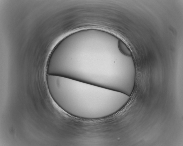 X0000113031535200908271044