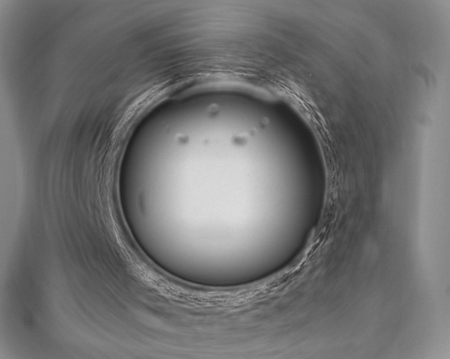 X0000113030001200908271505