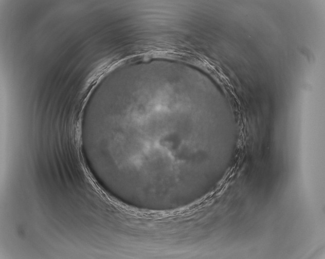 X0000113030002200908271505