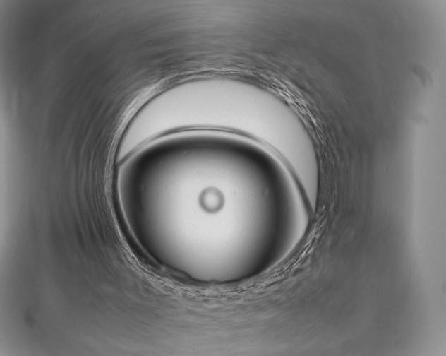 X0000113030003200908271505