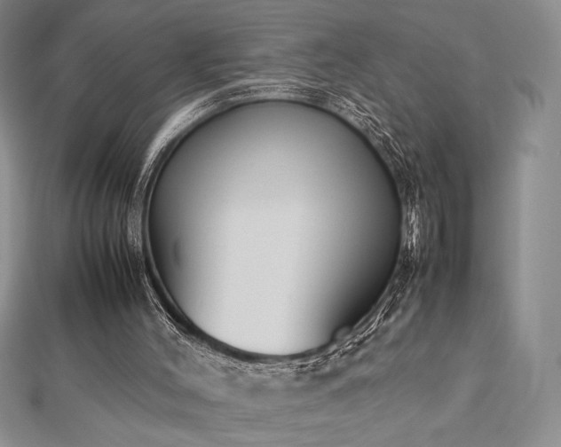 X0000113030004200908271505