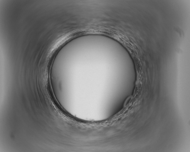 X0000113030005200908271505