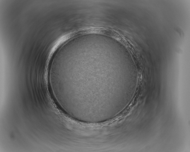 X0000113030006200908271505