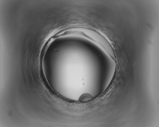 X0000113030008200908271505