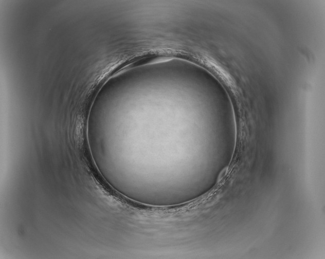 X0000113030009200908271505