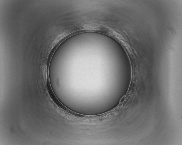 X0000113030011200908271504