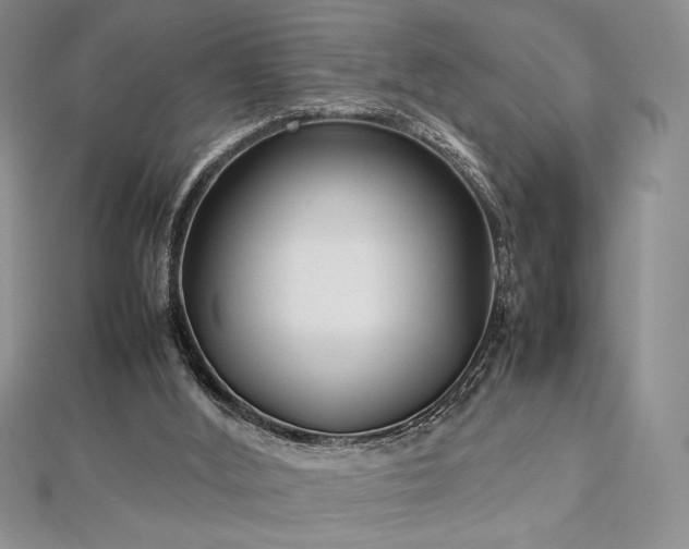 X0000113030012200908271504