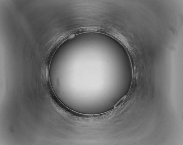 X0000113030013200908271504