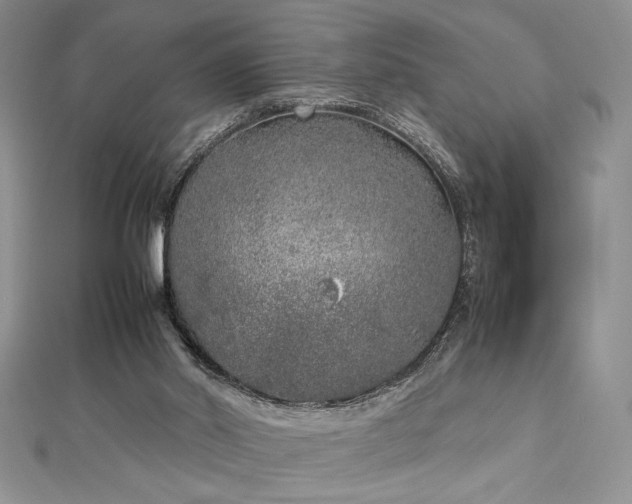 X0000113030014200908271504