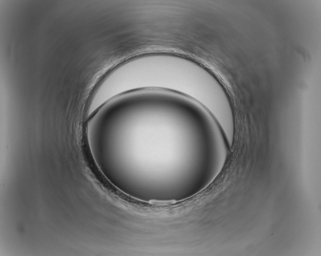 X0000113030015200908271504