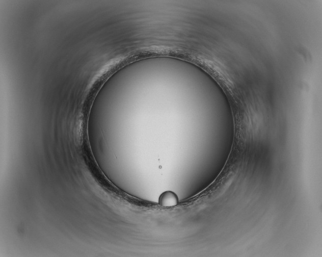 X0000113030016200908271504