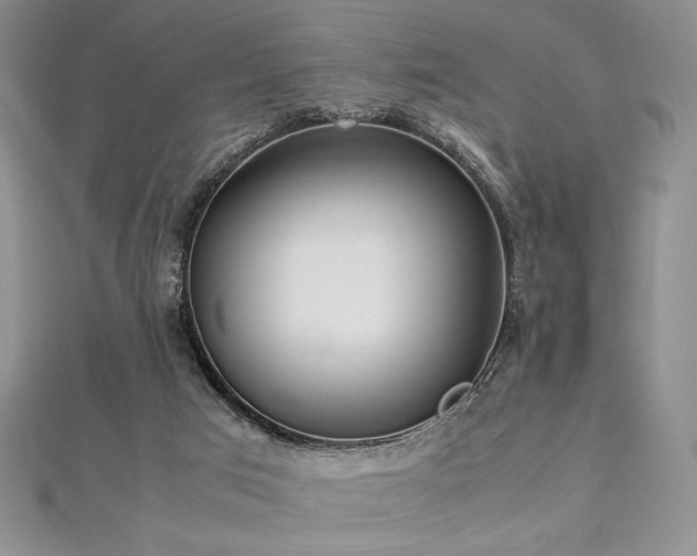 X0000113030017200908271504