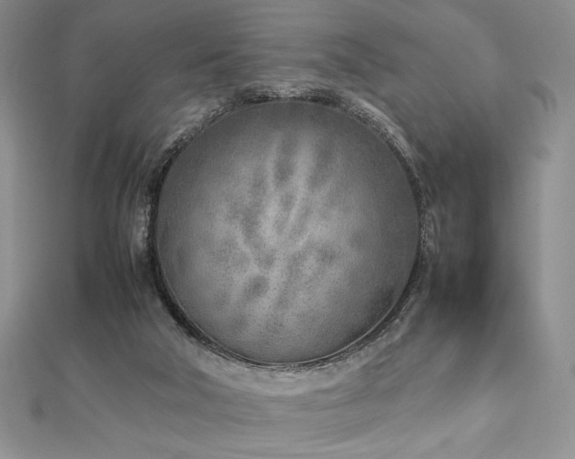 X0000113030018200908271504