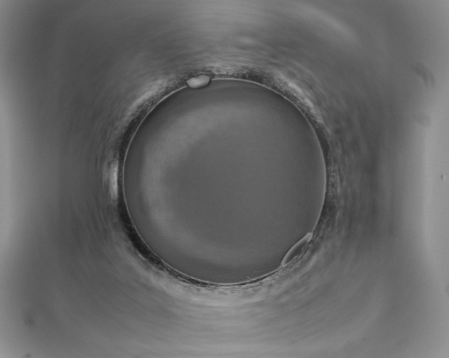 X0000113030019200908271504