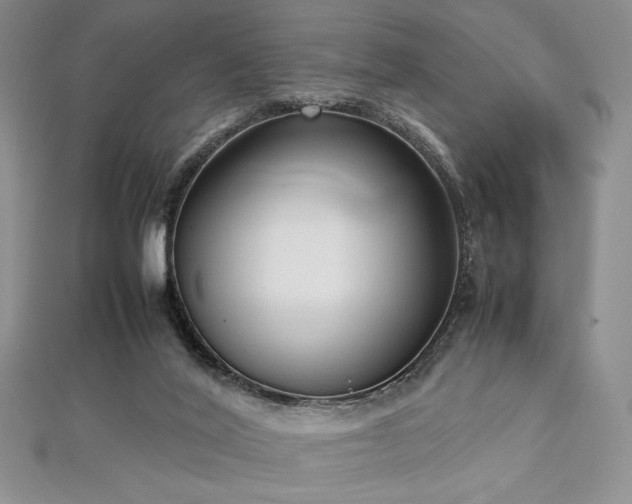 X0000113030020200908271504