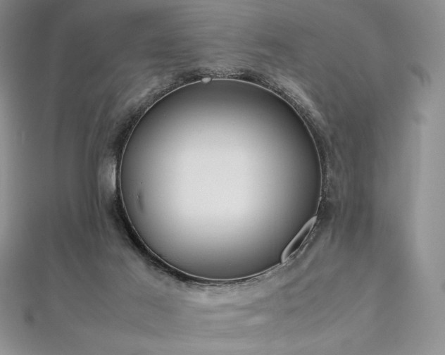 X0000113030021200908271504