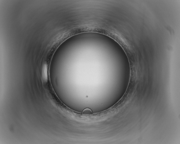 X0000113030022200908271504