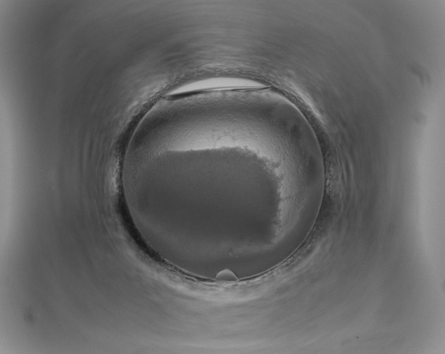 X0000113030023200908271504