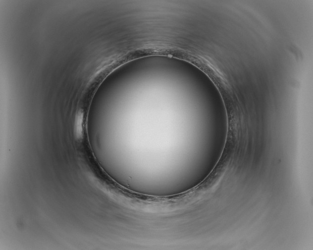 X0000113030024200908271504