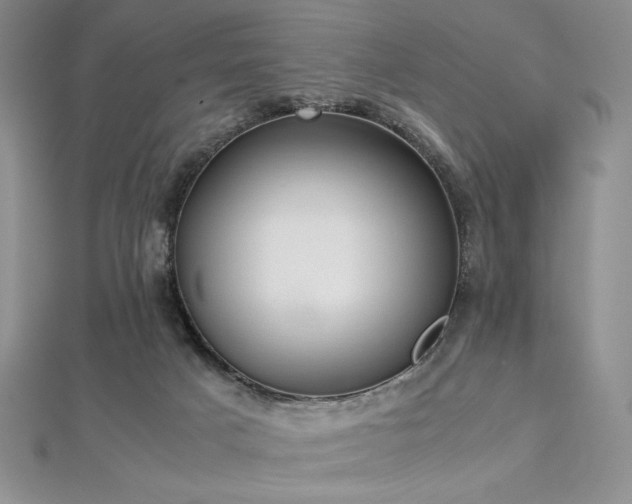 X0000113030025200908271504